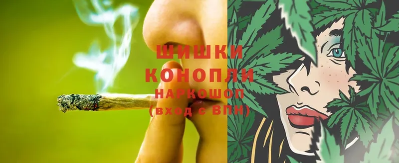 mega ссылки  купить наркотик  Волгореченск  Конопля THC 21% 